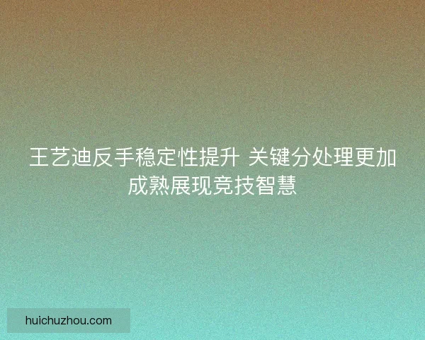 王艺迪反手稳定性提升 关键分处理更加成熟展现竞技智慧